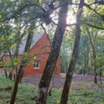 Maison Cocooning vue du bois
