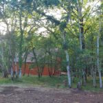 Maison Nature vue du bois
